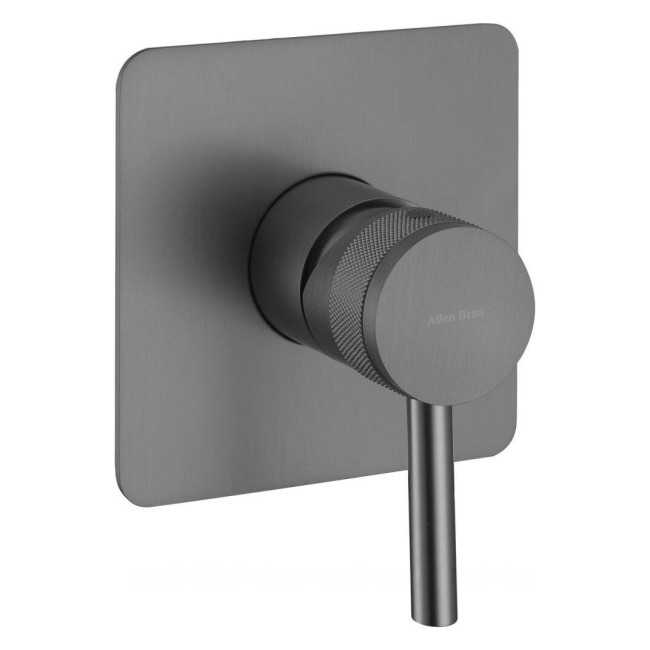 Смеситель для душа встраиваемый Allen Brau PRIORITY X1 браш графит (5.31012-MG) Смеситель для душа встраиваемый Allen Brau PRIORITY X1 браш графит (5.31012-MG)