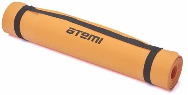 Коврик для йоги и фитнеса Atemi AYM04C Коврик для йоги и фитнеса Atemi AYM04C