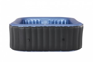 SPA-бассейн MSpa C-TE061