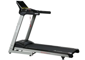 Беговая дорожка Larsen Performance E2500m