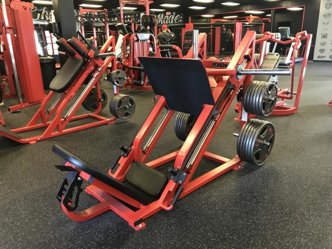 Силовой тренажер Foreman FP-105 темно-серебряный/серый dove grey