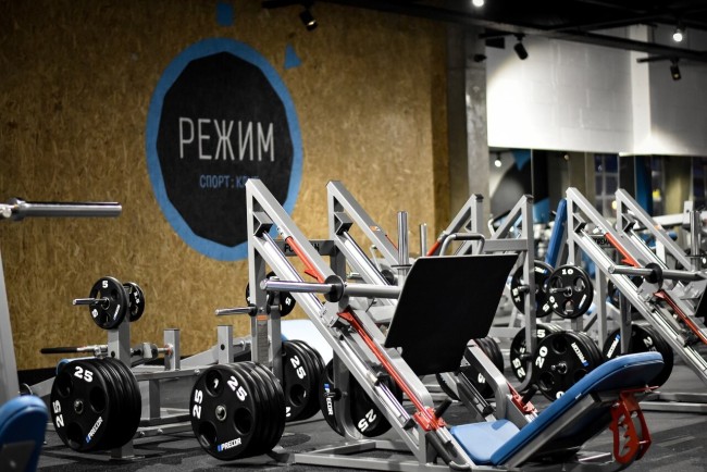 Силовой тренажер Foreman FP-105 темно-серебряный/серый dove grey