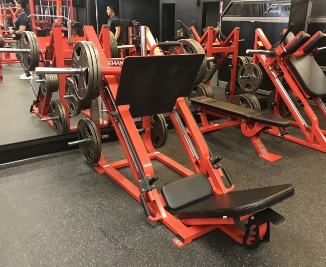 Силовой тренажер Foreman FP-105 темно-серебряный/серый dove grey