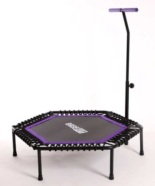 Батут BaseFit TR-401 101 см фиолетовый