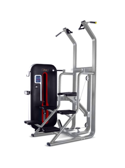 Брусья с противовесом Bronze Gym MT-008A C