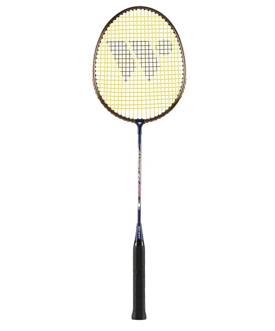 Набор для бадминтона Wish Alumtec 550 синий