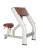 Скамья Скотта Bronze Gym GYM H-040A С