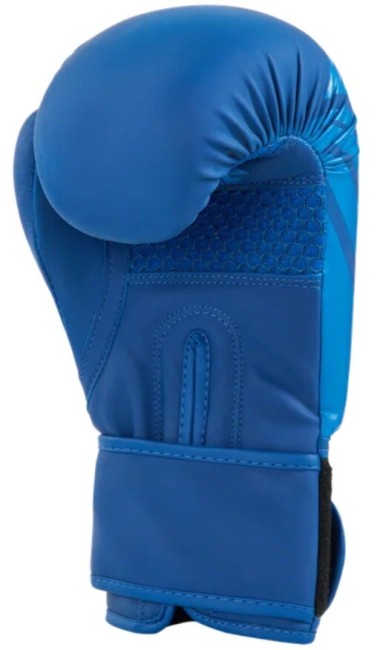 Перчатки боксерские Insane Mars IN22-BG100 12 oz синий