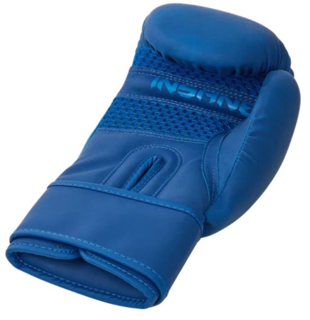 Перчатки боксерские Insane Mars IN22-BG100 12 oz синий