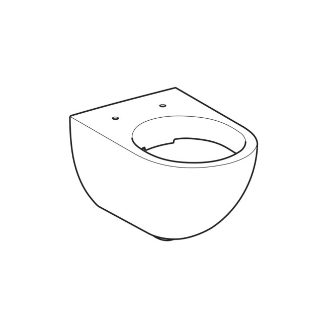 Унитаз подвесной Geberit 500.600.01.2