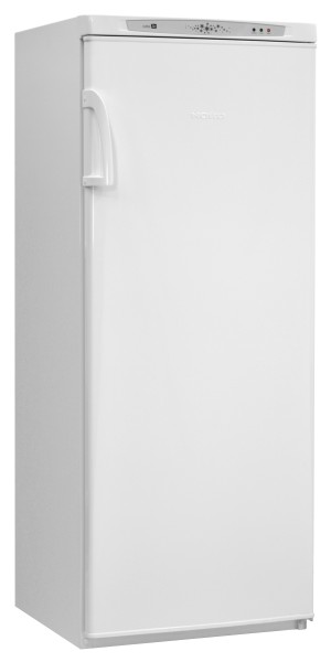 Морозильная камера Nordfrost DF 165 WSP