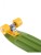 Круизер Ridex Soldier 22x6 Круизер Ridex Soldier 22x6