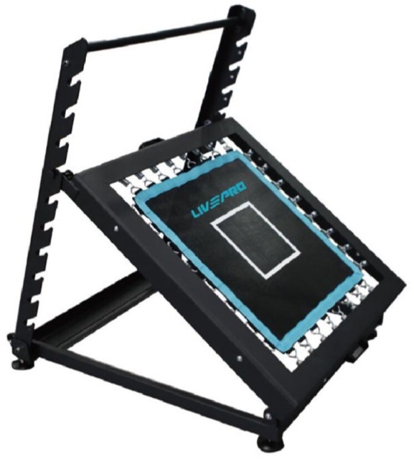 Батут для медбола LivePro Rebounder Trampolines Батут для медбола LivePro Rebounder Trampolines