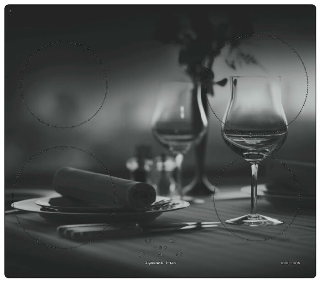 Встраиваемая индукционная варочная панель Zigmund & Shtain CIS 219.60 DX