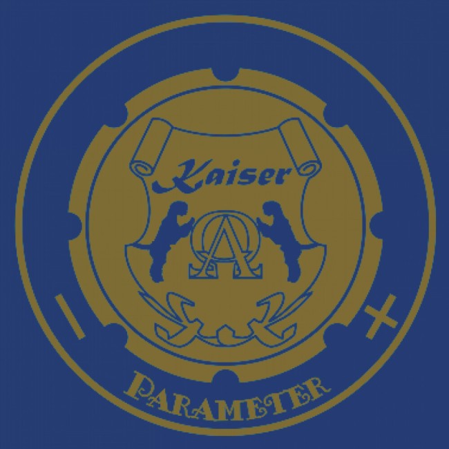 Встраиваемая индукционная варочная панель Kaiser KCT 6723 FI BluBE