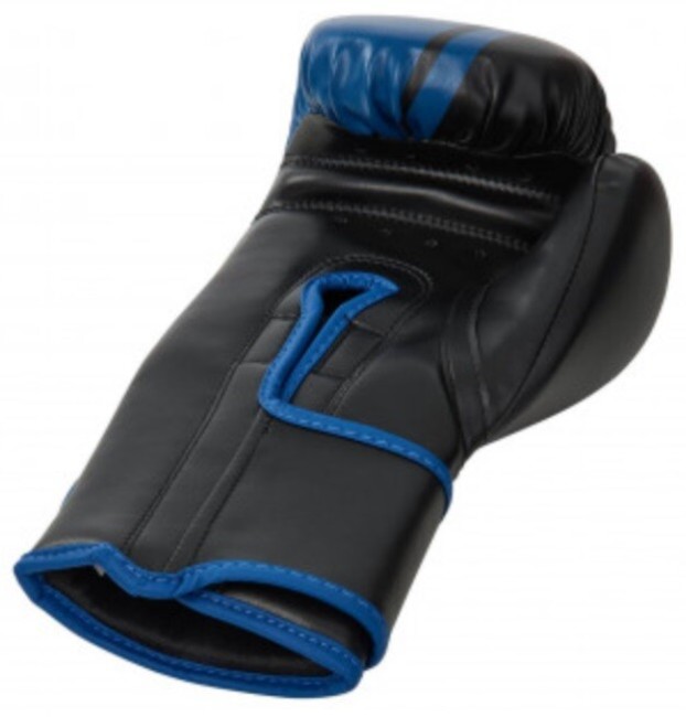 Перчатки боксерские Insane Montu IN23-BG500 10 oz синий