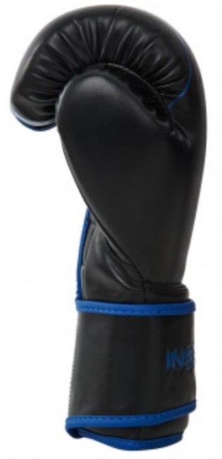 Перчатки боксерские Insane Montu IN23-BG500 10 oz синий