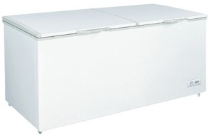 Морозильник-ларь Renova FC-520