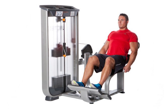 Тренажер для спины AeroFit Natural Line NL8