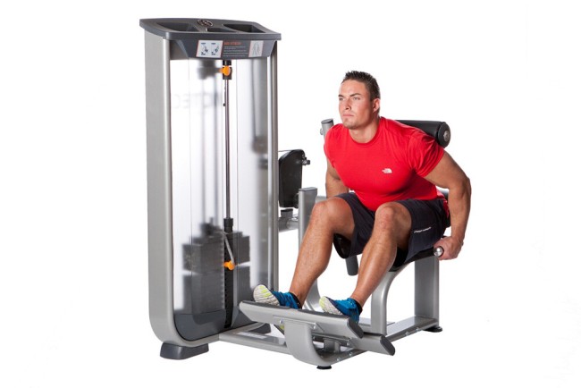 Тренажер для спины AeroFit Natural Line NL8