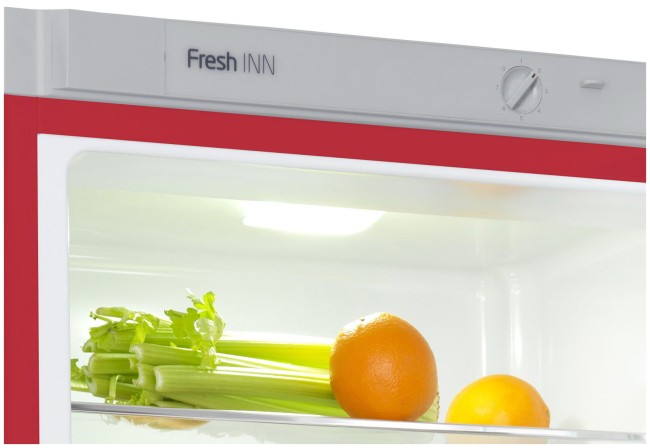 Холодильник Snaige RF RF53SM-S5RP210D91Z1C5SNBX