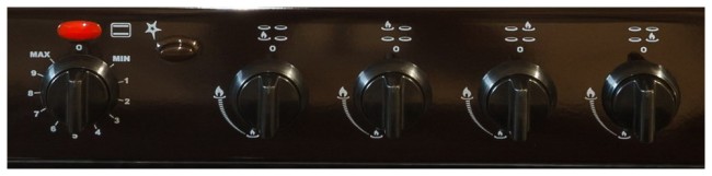 Комбинированная плита Cezaris ПГЭ 1000-03 коричневый Комбинированная плита Cezaris ПГЭ 1000-03 коричневый