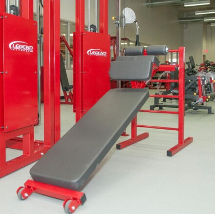 Скамья для пресса Legend Fitness 3176 серебряный/черный Скамья для пресса Legend Fitness 3176 серебряный/черный