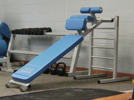 Скамья для пресса Legend Fitness 3176 серебряный/черный Скамья для пресса Legend Fitness 3176 серебряный/черный