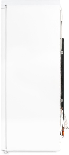 Морозильная камера SunWind SCU256