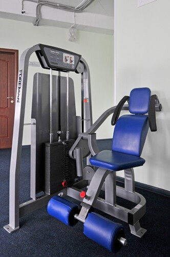 Силовой тренажер Foreman FS-501 (пресс сидя) темно-серебряный/оранжевый