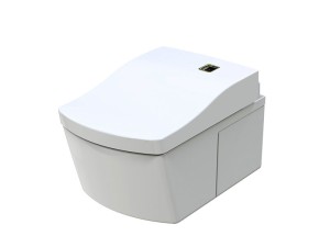 Унитаз-биде подвесной Toto NEOREST AC ACTILIGHT (CW996 PVD#NW1) белый