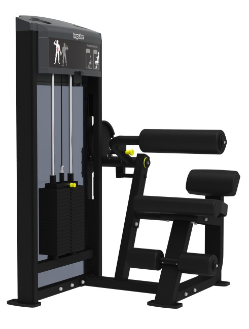 Тренажер для пресса AeroFit Impulse Functional IF9314 Тренажер для пресса AeroFit Impulse Functional IF9314