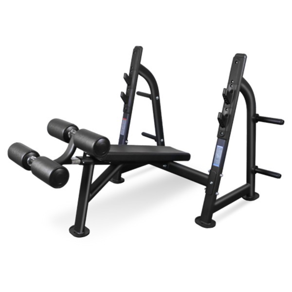 Скамья для жима Bronze Gym BR-1013 Скамья для жима Bronze Gym BR-1013