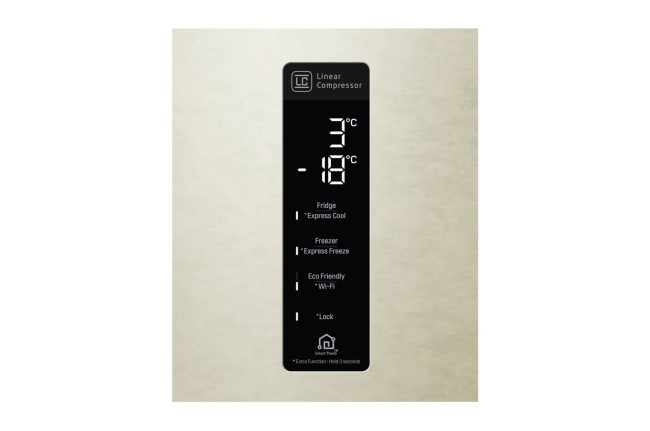 Холодильник LG GC-B569PECZ