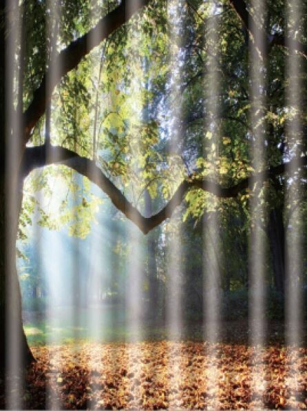 Штора для ванной Frap F8606 Осень