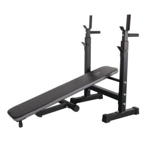 Скамья под штангу DFC D6453