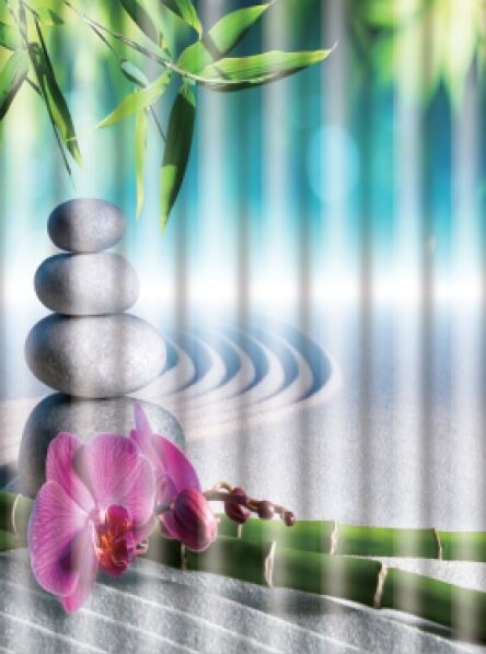 Штора для ванной Frap F8607 Вдохновение