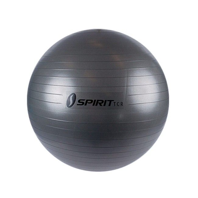 Мяч гимнастический Spirit Fitness M-03 (75 см) Мяч гимнастический Spirit Fitness M-03 (75 см)