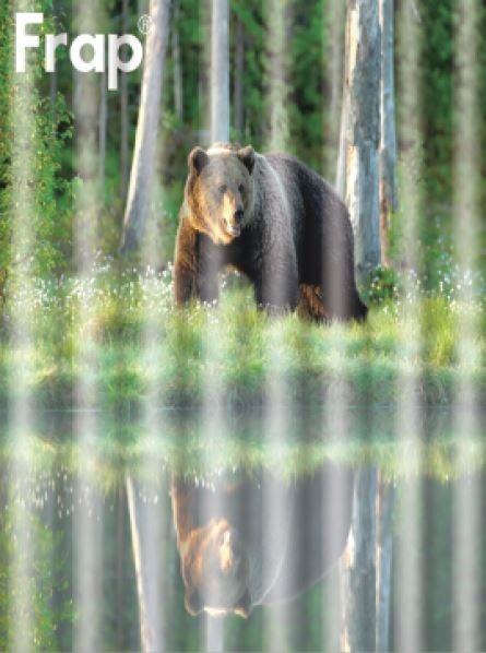 Штора для ванной Frap F8608 Природа