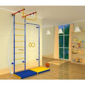 Детский спортивный комплекс Карусель Самсон 5.2