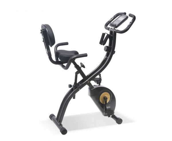 Велотренажер DFC Sun Fitter PRO B3373R