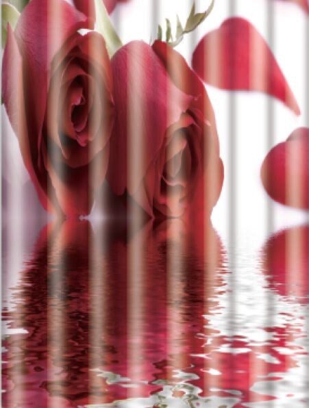 Штора для ванной Frap F8654 Роза