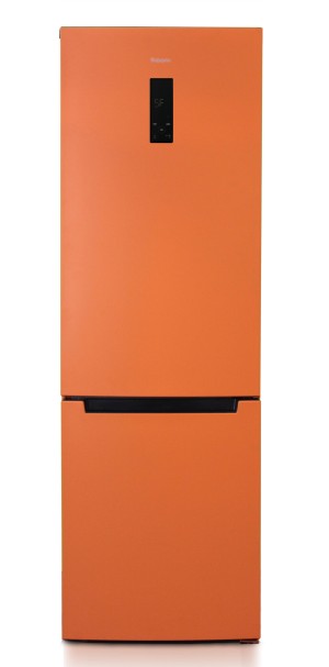 Холодильник Бирюса T960NF