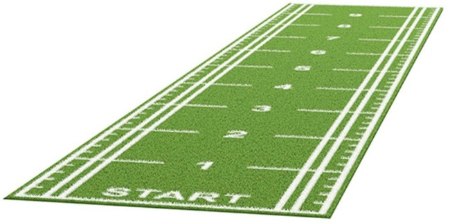 Газон искусственный DHZ Fitness FS2009 Газон искусственный DHZ Fitness FS2009