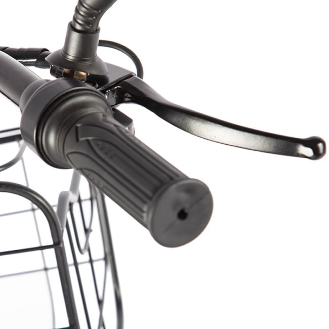 Трицикл Green City e-ALFA Trike серебристый 2762 Трицикл Green City e-ALFA Trike серебристый 2762