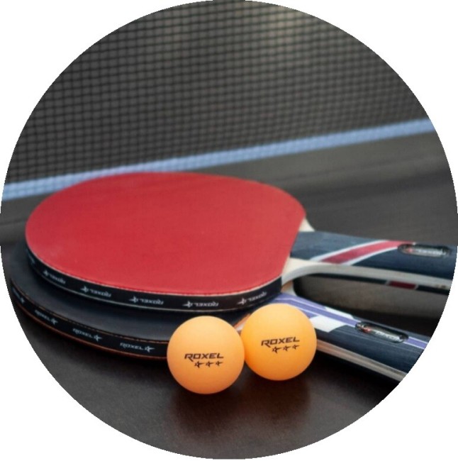 Ракетка для настольного тенниса Roxel 5* Superior Ракетка для настольного тенниса Roxel 5* Superior