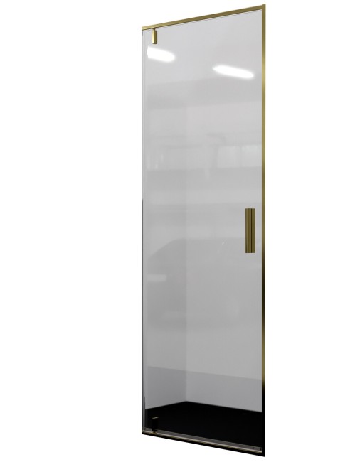 Душевая дверь WasserKraft Aisch 55P05 Душевая дверь WasserKraft Aisch 55P05