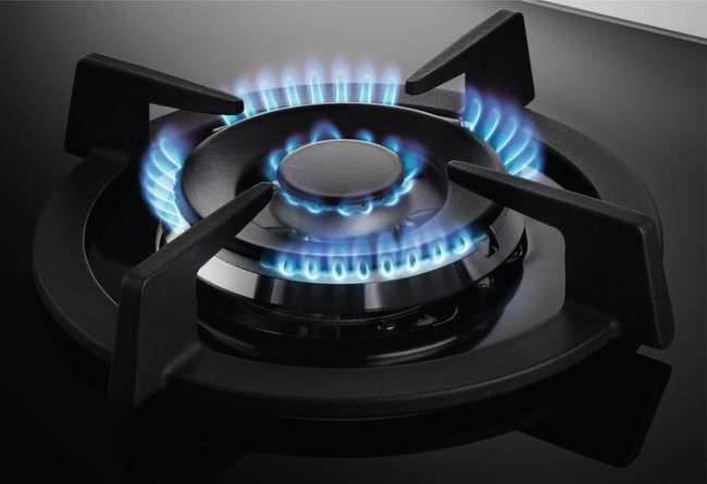 Встраиваемая газовая варочная панель Zanussi GPZ363LK черный