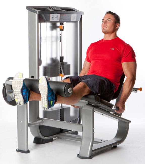 Тренажер для ног AeroFit Natural Line NL5 Тренажер для ног AeroFit Natural Line NL5