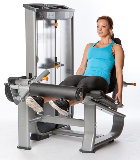 Тренажер для ног AeroFit Natural Line NL5 Тренажер для ног AeroFit Natural Line NL5